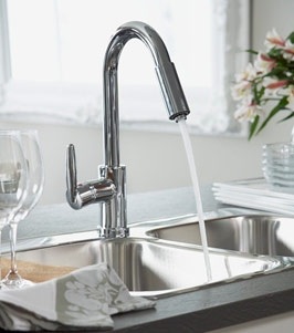 Phòng dịch cúm gia cầm từ nhà bếp - 1 Phòng dịch cúm gia cầm từ nhà bếp - 1