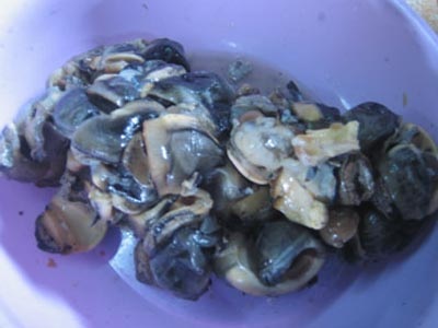 Cua, ốc đông lạnh, nước xương thối, vẫn tấp nập người ăn - 1 Cua, ốc đông lạnh, nước xương thối, vẫn tấp nập người ăn - 1