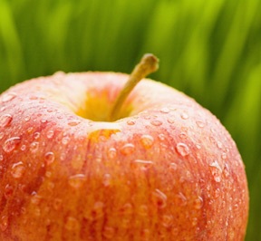 Bị ung thư vú nên ăn táo - 1