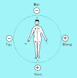 3. Các trường phái phong thủy khác nhau về hướng ngủ