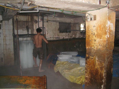 Đá cây “siêu” bẩn - 1 Đá cây “siêu” bẩn - 1