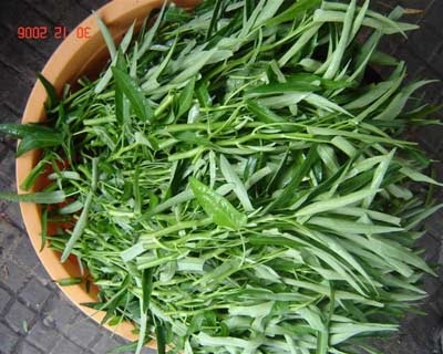 Nhận biết một số rau quả lạm dụng hóa chất - 1