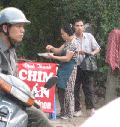 Chim quay “náo nhiệt” trên phố Hoàng Hoa Thám - 9 Chim quay “náo nhiệt” trên phố Hoàng Hoa Thám - 9