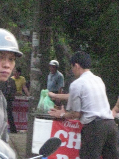Chim quay “náo nhiệt” trên phố Hoàng Hoa Thám - 10 Chim quay “náo nhiệt” trên phố Hoàng Hoa Thám - 10