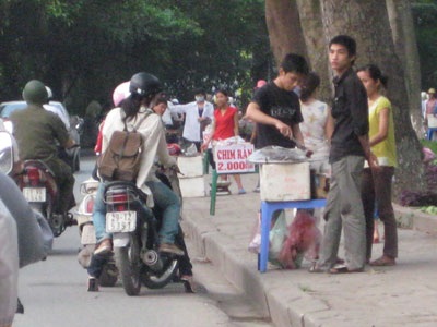 Chim quay “náo nhiệt” trên phố Hoàng Hoa Thám - 3 Chim quay “náo nhiệt” trên phố Hoàng Hoa Thám - 3