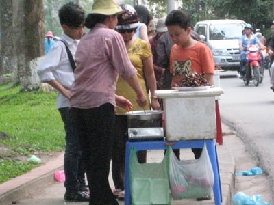 Chim quay “náo nhiệt” trên phố Hoàng Hoa Thám - 2 Chim quay “náo nhiệt” trên phố Hoàng Hoa Thám - 2