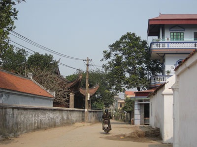 Thành Cổ Loa cận kề nguy cơ bị “chôn vùi” - 1 Thành Cổ Loa cận kề nguy cơ bị “chôn vùi” - 1