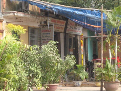 Thành Cổ Loa cận kề nguy cơ bị “chôn vùi” - 4 Thành Cổ Loa cận kề nguy cơ bị “chôn vùi” - 4