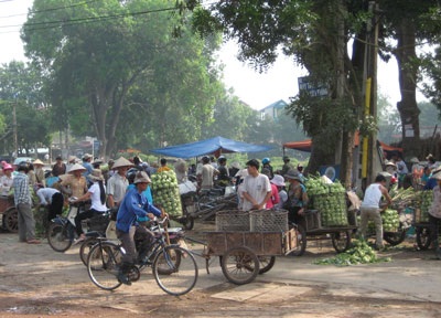 Hà Nội: Rau xanh “đắt” hơn thịt cá - 3 Hà Nội: Rau xanh “đắt” hơn thịt cá - 3