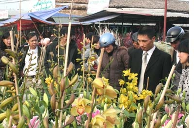 Hoa Tết “ngóng” đại gia - 2