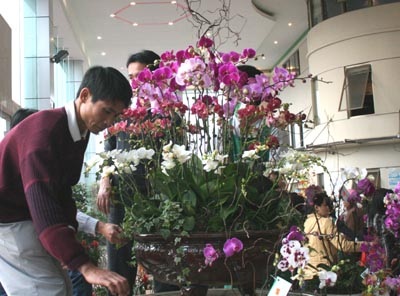 Hoa Tết “ngóng” đại gia - 4