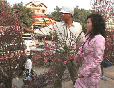 Hoa Tết “ngóng” đại gia - 1