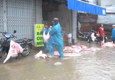 Quy định cấm chở lợn trên phố bị “thổi còi” - 1 Quy định cấm chở lợn trên phố bị “thổi còi” - 1