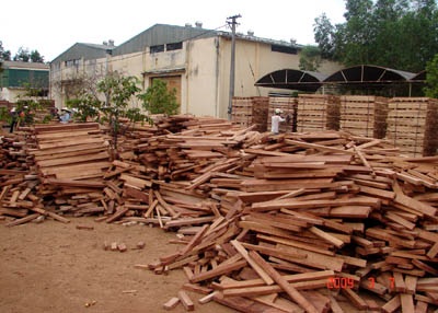 Khởi tố 5 cán bộ “ăn” gỗ đóng tàu hỗ trợ ngư dân - 1