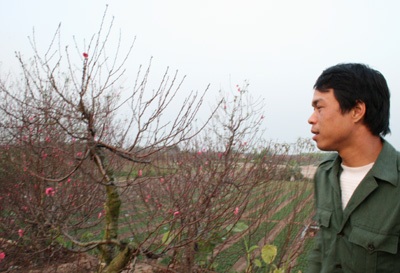 Quất, đào “dài cổ” chờ khách - 5