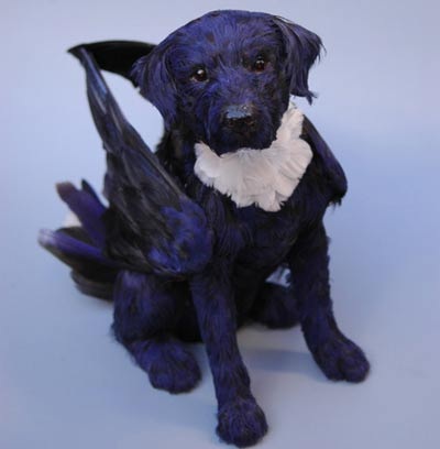 Chùm ảnh: Những con chó có "cánh" - 2