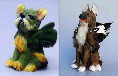 Chùm ảnh: Những con chó có "cánh" - 7