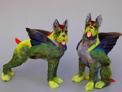 Chùm ảnh: Những con chó có "cánh" - 4