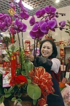 Chùm ảnh: Rộn ràng chờ đón năm trâu vàng - 10 Chùm ảnh: Rộn ràng chờ đón năm trâu vàng - 10