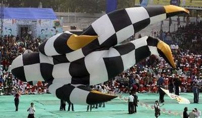 Chùm ảnh: Những chiếc diều hình thù quái dị - 7