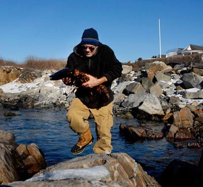 Phóng thích “tôm cụ” 140 năm tuổi về với biển - 8 Phóng thích “tôm cụ” 140 năm tuổi về với biển - 8