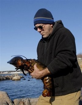 Phóng thích “tôm cụ” 140 năm tuổi về với biển - 5 Phóng thích “tôm cụ” 140 năm tuổi về với biển - 5