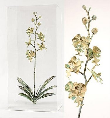 Chùm ảnh: "Siêu cao thủ" gấp tiền giấy - 1 Chùm ảnh: "Siêu cao thủ" gấp tiền giấy - 1