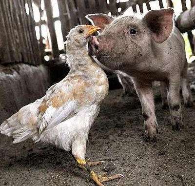 Những bức ảnh kỳ quặc nhất trong tháng - 5 Những bức ảnh kỳ quặc nhất trong tháng - 5