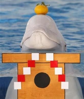 Những bức ảnh kỳ quặc nhất trong tháng - 15 Những bức ảnh kỳ quặc nhất trong tháng - 15