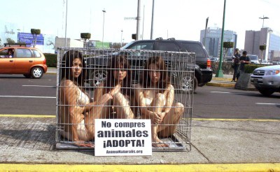 Khoả thân vì động vật - 4 Khoả thân vì động vật - 4