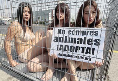 Khoả thân vì động vật - 2 Khoả thân vì động vật - 2