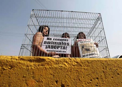 Khoả thân vì động vật - 1 Khoả thân vì động vật - 1