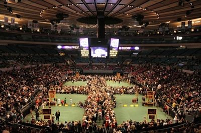 Chùm ảnh: Sôi động hội thi chó nuôi lớn nhất tại Mỹ - 1