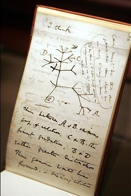 Chùm ảnh: Darwin, 200 năm nhìn lại - 5