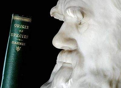 Chùm ảnh: Darwin, 200 năm nhìn lại - 9