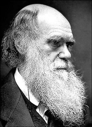 Chùm ảnh: Darwin, 200 năm nhìn lại - 1