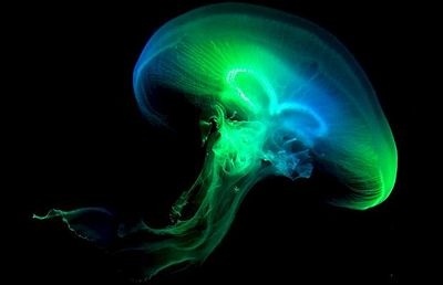 Những hình ảnh ấn tượng trong tuần - 6