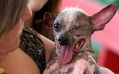 10 cuộc thi “điên khùng” nhất quả đất - 5