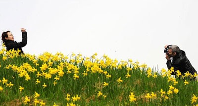 Chùm ảnh: Xứ sở sương mù ngập tràn sắc xuân - 6