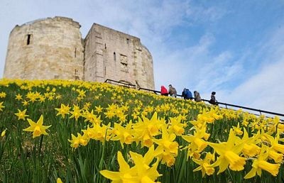 Chùm ảnh: Xứ sở sương mù ngập tràn sắc xuân - 9