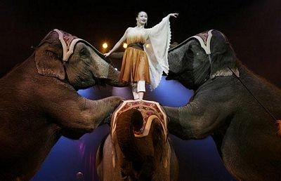 Những hình ảnh ấn tượng tuần qua - 5