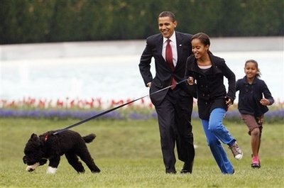 Chó cưng nhà Obama nhận hợp đồng xuất bản sách - 1 Chó cưng nhà Obama nhận hợp đồng xuất bản sách - 1