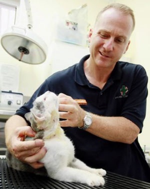 Trúng 27 phát đạn vẫn sống sót - 2