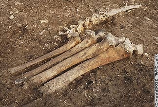 Anh: Phát hiện ngôi làng bí ẩn gần bãi đá Stonehenge - 3