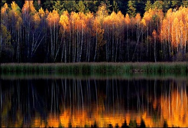 Ảnh đẹp trong tuần: Cuộc sống muôn màu - 1 Ảnh đẹp trong tuần: Cuộc sống muôn màu - 1