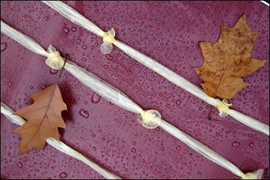 Ảnh đẹp trong tuần: Cuộc sống muôn màu - 5 Ảnh đẹp trong tuần: Cuộc sống muôn màu - 5