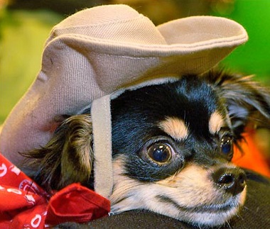 Ảnh đẹp trong tuần: Cuộc sống muôn màu - 9 Ảnh đẹp trong tuần: Cuộc sống muôn màu - 9