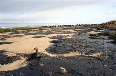 Chùm ảnh: Những sự kiện thế giới nổi bật tuần qua - 1