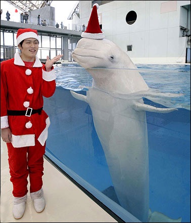 Ảnh đẹp trong tuần - 3