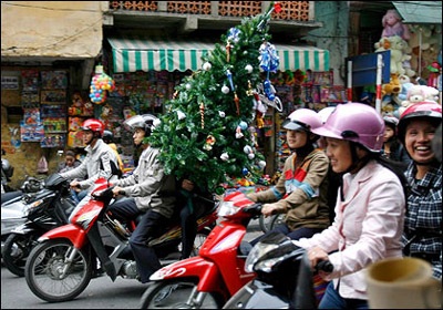 Ảnh đẹp trong tuần - 7